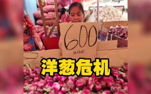 菲律宾洋葱比肉贵 新人结婚用洋葱代替鲜花