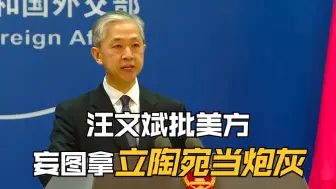 汪文斌批美方妄图拿立陶宛当炮灰