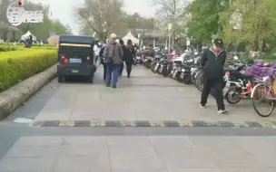 赏花时节，玉渊潭公园周边停车秩序太乱了