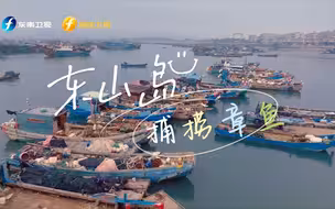 【渔港走透透】东山岛抓章鱼