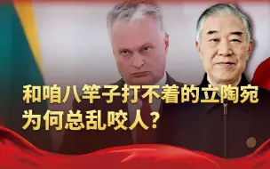 怂恿欧盟告中国，和咱八竿子打不着的立陶宛，为何如疯狗般咬人？