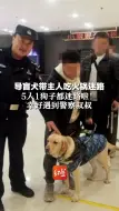 导盲犬带主人吃火锅  5人1狗子都迷路啦！幸好遇到警察叔叔