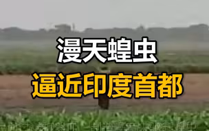 漫天蝗虫逼近印度首都，民众敲打器皿、制造噪音来驱赶