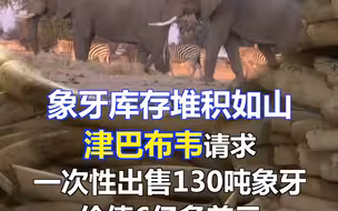象牙库存堆积如山 津巴布韦请求一次性出售130吨象牙