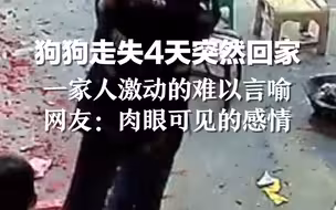 狗狗走失4天突然回家，一家人激动得难以言喻。网友：肉眼可见的感情