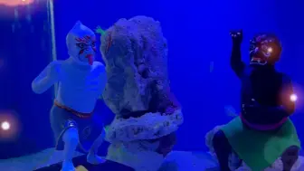 #上海海昌海洋公园 满满的小细节你有注意到吗？最近又更新咯