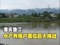 聚焦三农丨水产养殖户面临巨大挑战