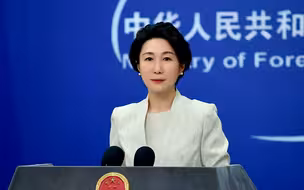 下一个“中国” ，还是中国