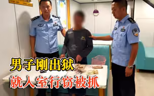 男子刚出狱就入室行窃被抓：入室盗窃屋主近9000元现金