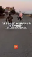 “南方小土豆”东北挑战骑鸵鸟 鸵鸟弹射起步 工作人员在其后拼命追赶