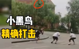校园里有只奇怪的黑鸟，只啄男生不啄女生