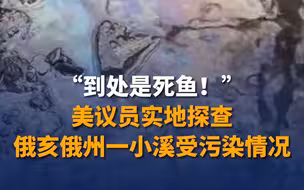 “到处是死鱼！”美议员实地探查俄亥俄州一小溪受污染情况