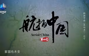 航拍万只斑尾塍鹬震撼过江