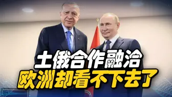 土俄合作融洽，欧洲看不下去，土耳其手握欧洲弱点，可不怕报复