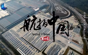 被30万株紫荆花点亮的汽车城