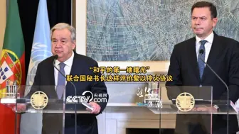 “和平的第一缕曙光”联合国秘书长这样评价黎以停火协议