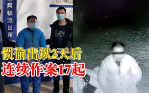 惯偷出狱2天后连续作案17起：流窜多地作案，4次因盗窃入狱