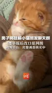 男子将肢解小猫照片发聊天群，遭举报后改口是网图，政务平台：民警调查核实中