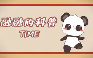 赤湾天后宫历史渊源