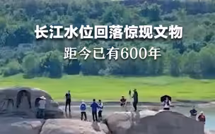 连日来长江水位回落，重庆巴南区江心礁岛出水面，惊现近600年的明清摩崖造像