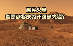 移民火星，微藻或将成为开路急先锋？