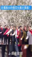 不输武汉！丽水的樱花长廊美爆了！