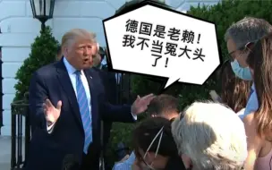 【特朗普痛批德国欠军费：我可不当冤大头了！】