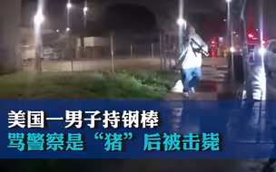 美国一男子持钢棒骂警察是“猪”后被击毙