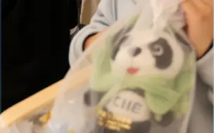 进博徽章，在“四叶草”里搭起一座座交流的桥梁