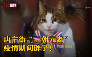 英国唐宁街首席捕鼠官疫情期间胖了！ 兽医建议减肥