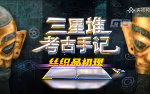 独家纪录：三星堆重大发现 “丝织品”现形记