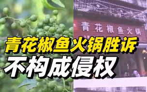 “青花椒”商标之争 | 四川高院：青花椒鱼火锅胜诉，不构成侵权