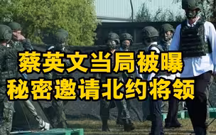 蔡英文当局被曝秘密邀请北约将领