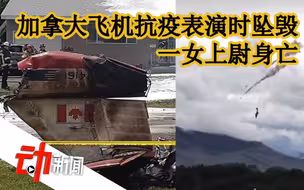 加拿大飞机进行抗疫表演时垂直坠毁，一女上尉身亡