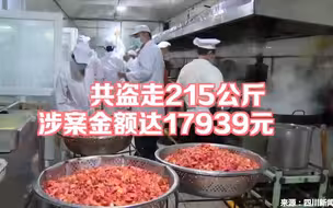 离职员工8次从酒店偷肉215公斤 还有一个完整盗销“合作链”！