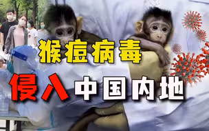 重庆发现1例猴痘感染者，新冠、猴痘双重夹击，传播风险有多大