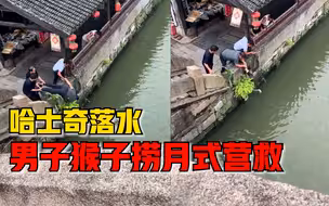 哈士奇落水男子猴子捞月式营救，目击者：二哈这是遇到贵人了