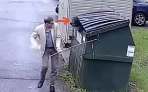 男子与黑熊近距离对视，“互相吓了一跳”