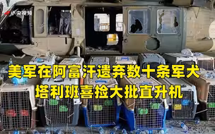 美军在阿富汗遗弃数十条军犬 塔利班喜捡大批直升机