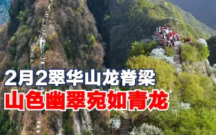 2月2翠华山龙脊梁山色幽翠如青龙：一起来享受山间野趣吧！