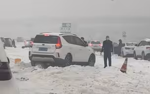 实拍武汉暴雪：树木倒伏一地 车辆打滑难以行进 上班高峰地铁拥堵