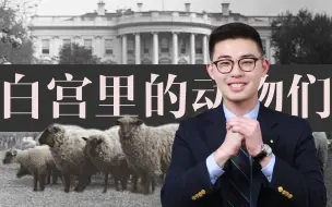 骁话一下：白宫动物园，了解一下～