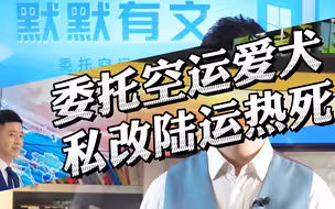 委托空运爱犬，私改陆运热死