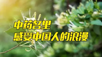 太浪漫！用中药起名，也太好听啦！