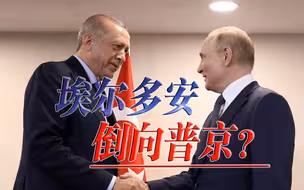 美国撑腰都不好使，土耳其阻挠瑞典入约，还给普京打了个电话