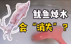 新闻求真｜网传鱿鱼煮后化成水，怎么回事？