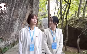 台青恋上诗画缙云，带上台湾朋友定会再来！