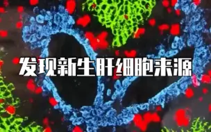 成体肝脏中新生肝细胞来源被发现