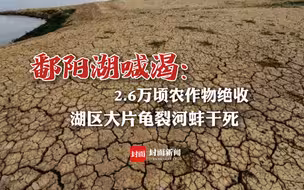 鄱阳湖喊渴：2.6万顷农作物绝收，湖区大片龟裂河蚌干死