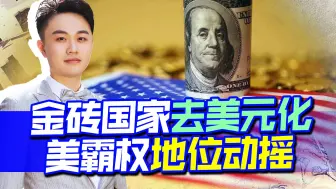 金砖国家加速去美元化，美霸权地位动摇，人民币国际化势不可挡